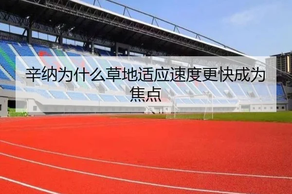 辛纳为什么草地适应速度更快成为焦点