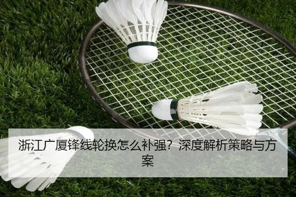 浙江广厦锋线轮换怎么补强？深度解析策略与方案